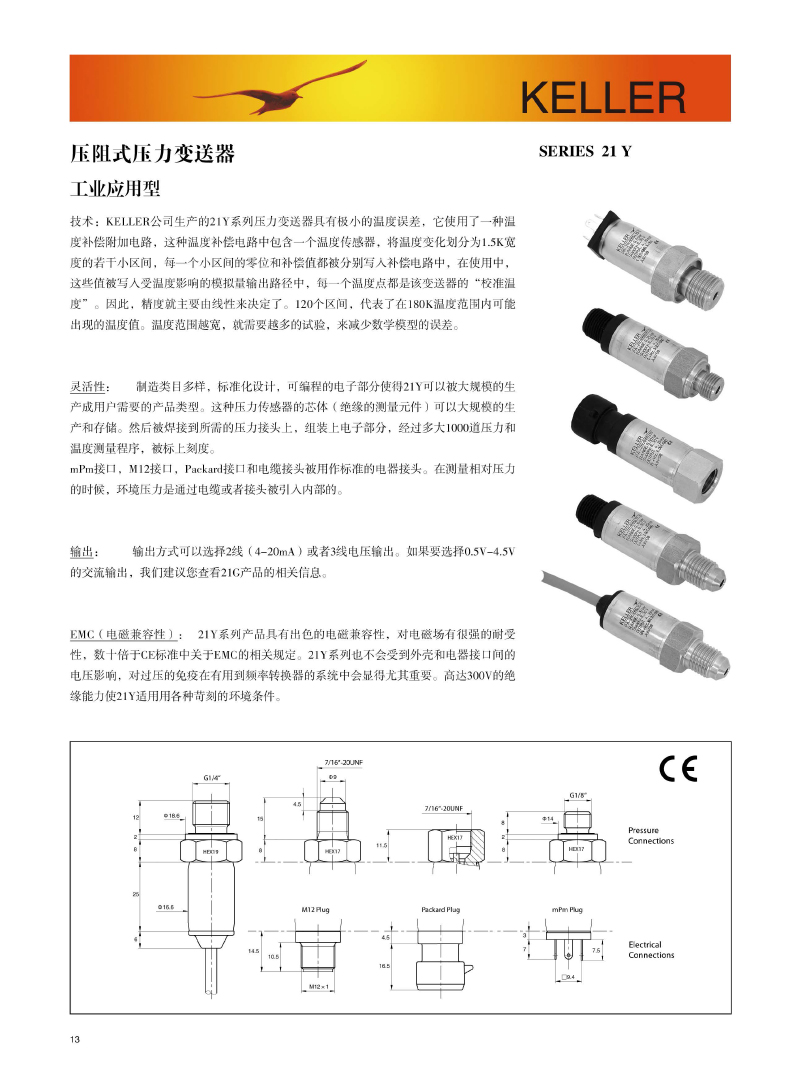 21y_页面_1.jpg